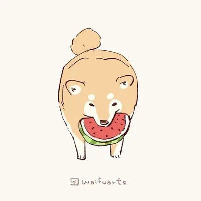 SKETCH example